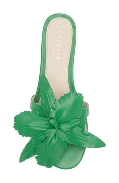 Shop Cecelia New York Lila Slide Sandal In Green Melon
