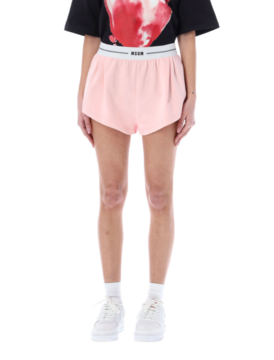 Shop Msgm Logo Band Shorts In Pink