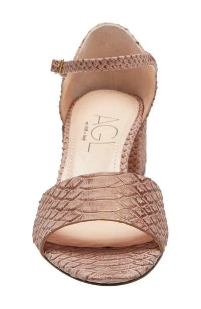 Shop Agl Attilio Giusti Leombruni Snake Embossed Block Heel Sandal In Blush Met Print