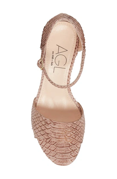 Shop Agl Attilio Giusti Leombruni Snake Embossed Block Heel Sandal In Blush Met Print