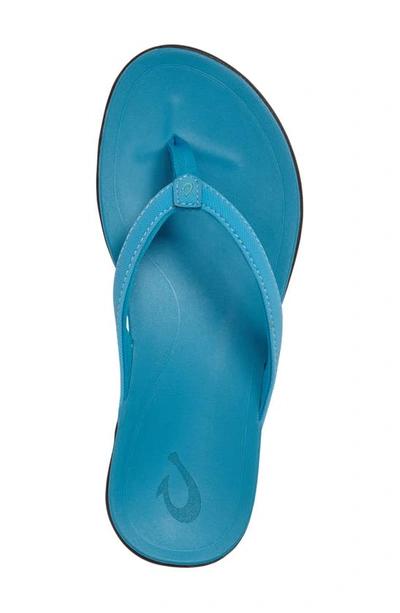 Shop Olukai Ho Opio Flip Flop In Vivid Blue Faux Leather