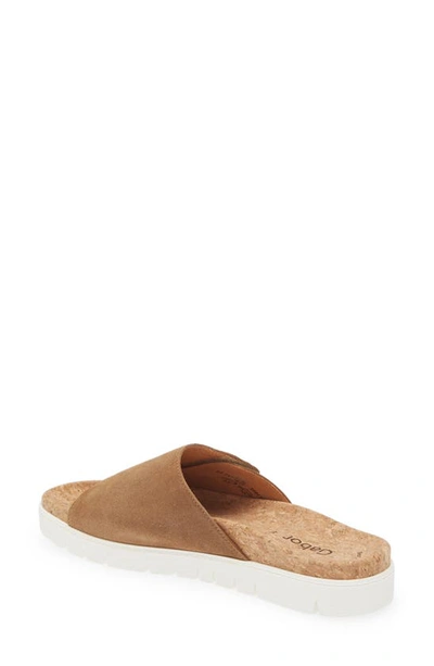Gabor Slide Slide Sandal In Lion