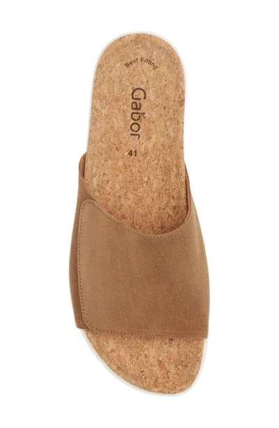 Gabor Slide Slide Sandal In Lion