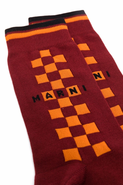 Shop Marni Logo-print Checked Socks In Red