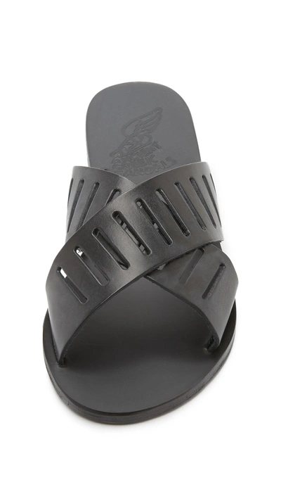Shop Ancient Greek Sandals Thais Slides In Black