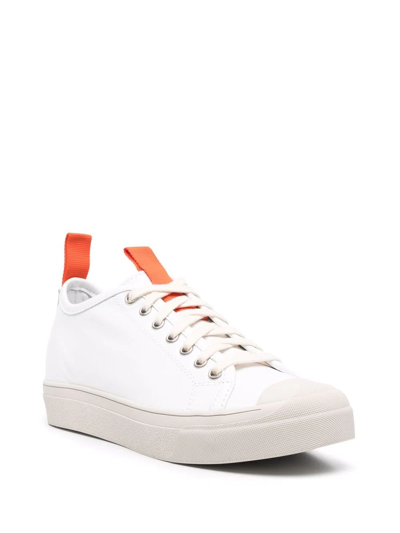Shop Sofie D'hoore Fable Low-top Sneakers In White
