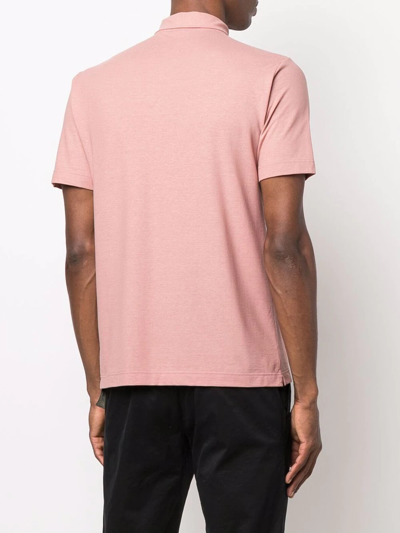 Shop Zanone Basic Polo Shirt In Pink