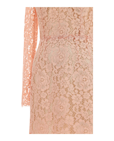 Shop Dolce & Gabbana Lace Midi-dress In Pink