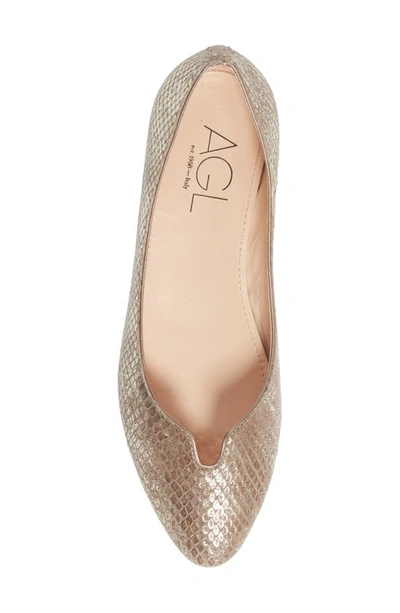 Shop Agl Attilio Giusti Leombruni Mimosa Ballet Flat In Harriet Taupe