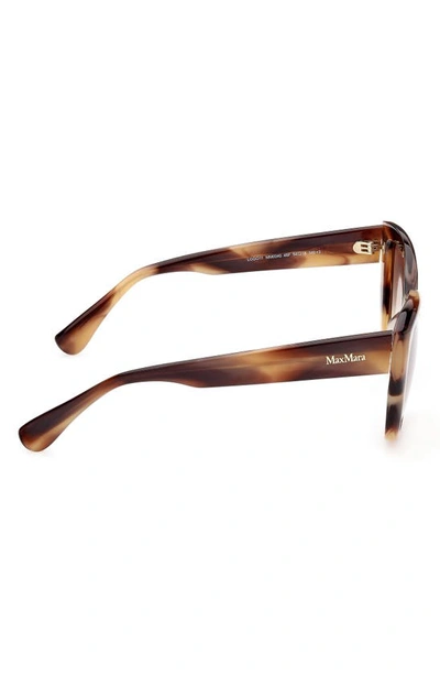 Shop Max Mara 54mm Cat Eye Sunglasses In Shiny Striped Brown / Brown