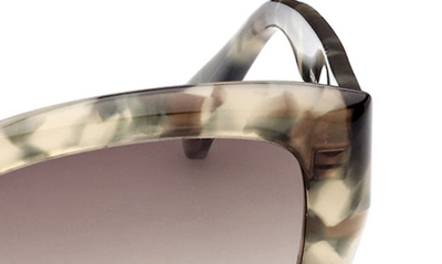 Shop Max Mara 54mm Cat Eye Sunglasses In Shiny Sage Havana / Brown