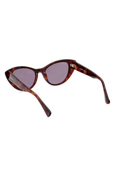 Shop Max Mara 51mm Cat Eye Sunglasses In Shiny Classic Havana / Smoke