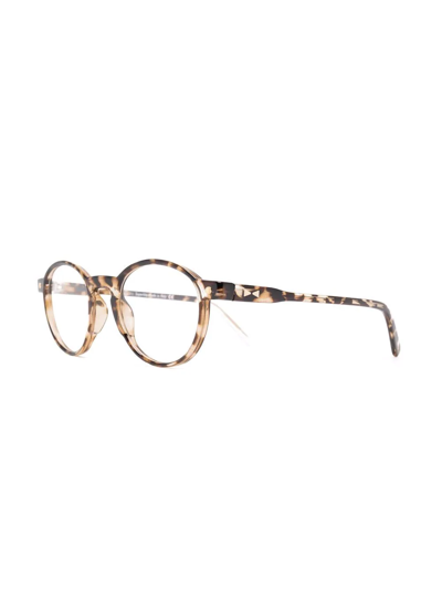 Shop Snob Lillo Tortoise Clip-on Glasses In Braun