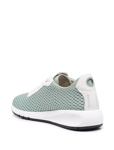 Geox Aerantis Mesh Lace-up Sneakers In Grün