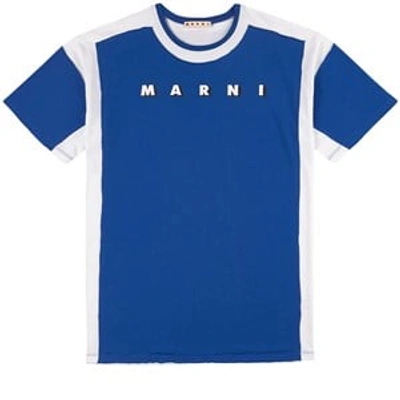 Shop Marni Kids In Blue