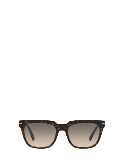 Shop Prada Pr 04ys Tortoise Sunglasses