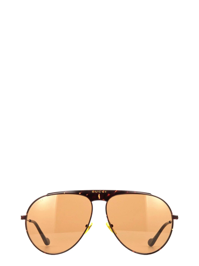 Shop Gucci Eyewear Gg0908s Havana Sunglasses