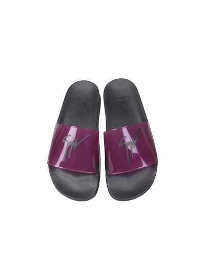 Shop Giuseppe Zanotti Slide Sandals With Logo In Fuchsia