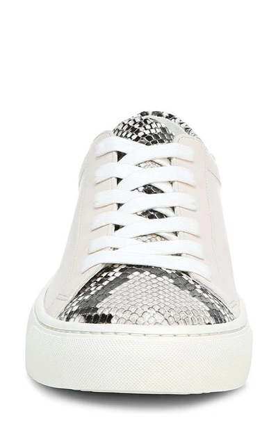 Shop Veronica Beard Bibi Sneaker In White/ Natural