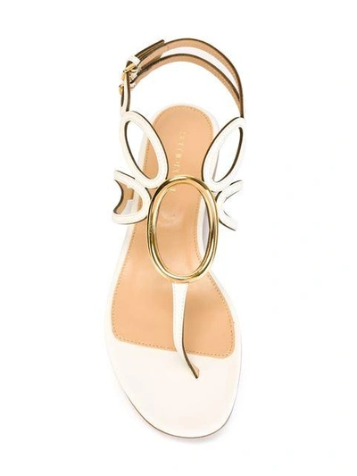 Shop Sergio Rossi 'farrah' Sandals