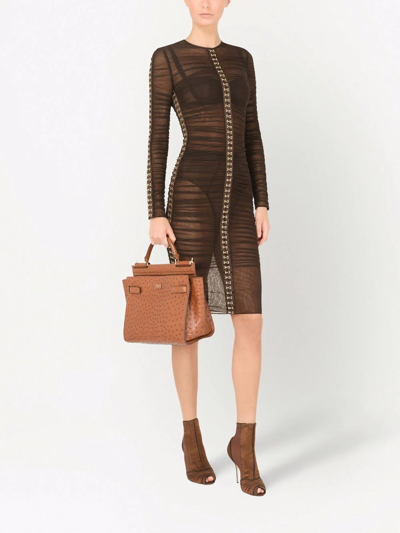 Dolce & Gabbana Ruched Tulle Dress In Brown