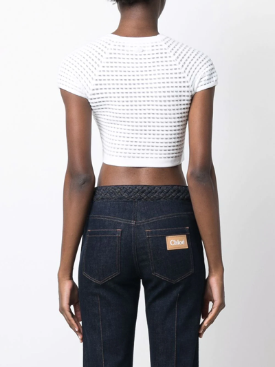 Shop Genny Open-knit Cropped Top In Weiss