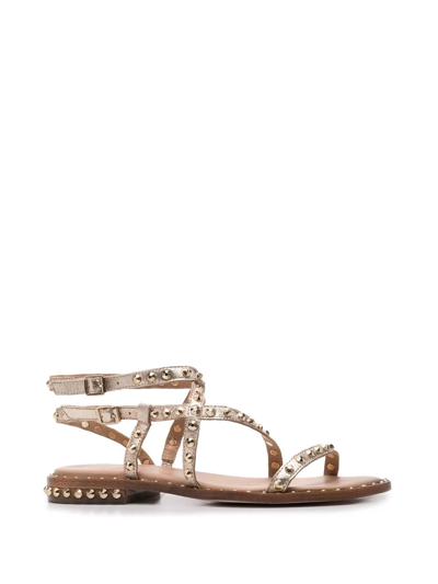 Shop Ash Studded Leather Sandals In Metallic