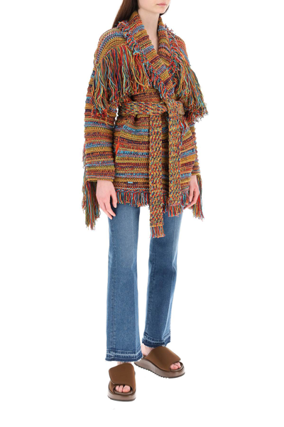 Shop Alanui Under A Palm Tree Icon Cardigan In Orange,green,brown,red