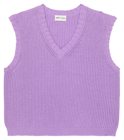 Shop Morley Pelican Ribbed-knit Sweater Vest In Violla