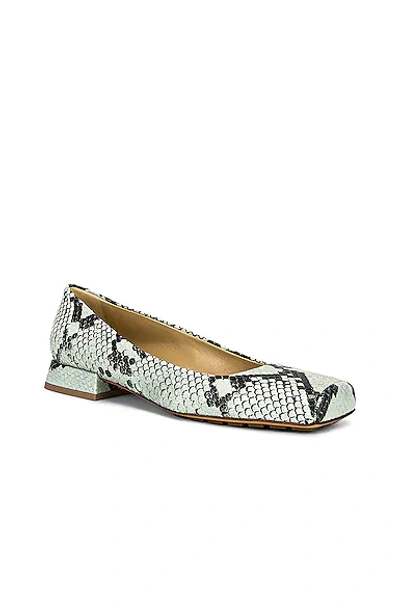 Shop Bottega Veneta Tower Square Toe Ballerina Flats In Dew & Black