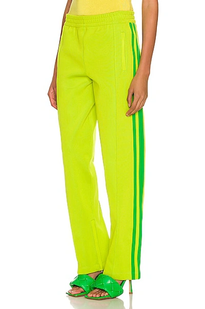 Bottega Veneta Light Weight Technical Trouser In Kiwi & Parakeet