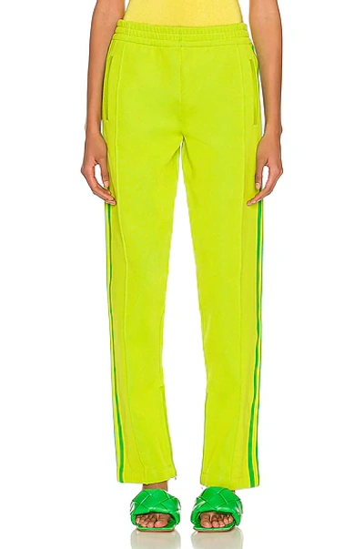 Bottega Veneta Light Weight Technical Trouser In Kiwi & Parakeet