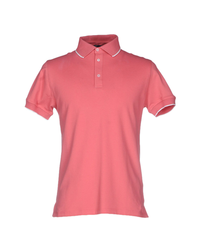 Shop Bagutta Polo Shirts In Pastel Pink