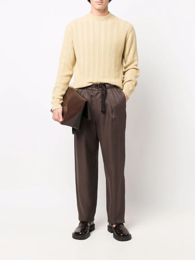 Shop Agnona Straight-leg Belted-waist Trousers In Braun