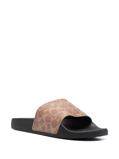 Coach Pool Slide In Signature Canvas In Black