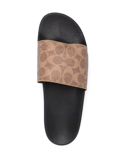 Shop Coach Logo Slip-on Slides In Braun