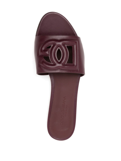Dolce & Gabbana Dg Cut-out Detail Slides In Purple