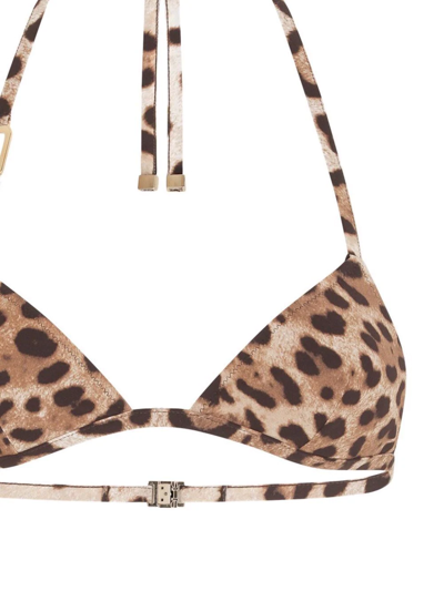 Shop Dolce & Gabbana Leopard-print Triangle Bikini In Brown