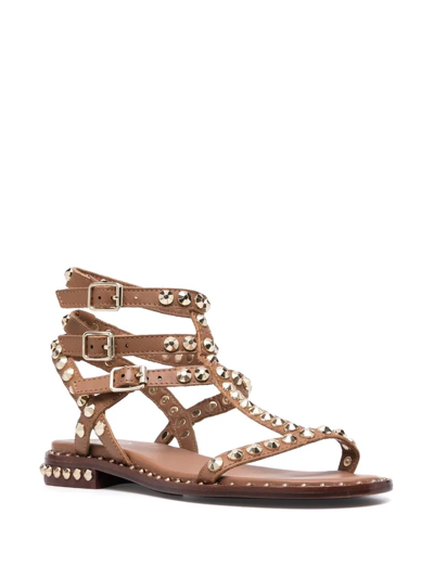 Shop Ash Ariel Rockstud-embellished Sandals In Brown