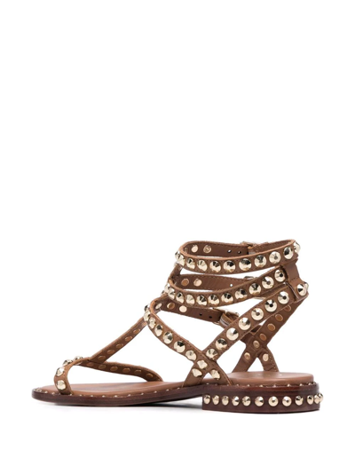 Shop Ash Ariel Rockstud-embellished Sandals In Brown