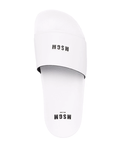 Shop Msgm Logo-print Slides In White