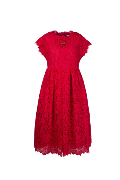 Shop Dolce & Gabbana Lace Dress With Jewel Embroidery In Red