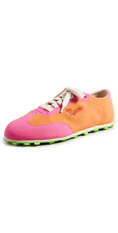 Shop Marni Pebble Lace Up Sneakers In Light Orange/fuchsia