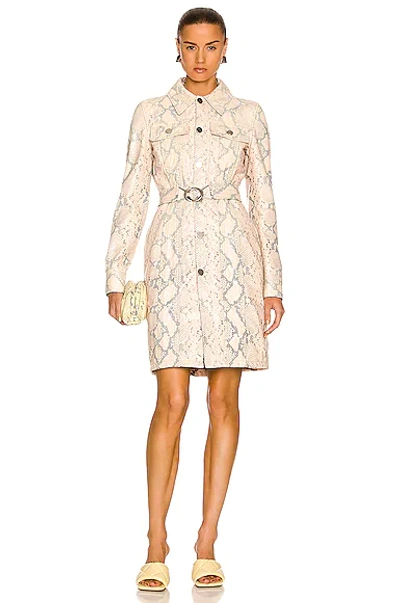 Shop Bottega Veneta Faded Python Print Coat In Cantaloupe & Black