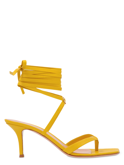Shop Gianvito Rossi Women's Sandals -  - In Gold Leather