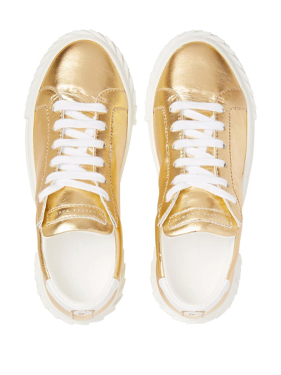 Shop Giuseppe Zanotti Ecoblabber Leather Sneakers In Gold