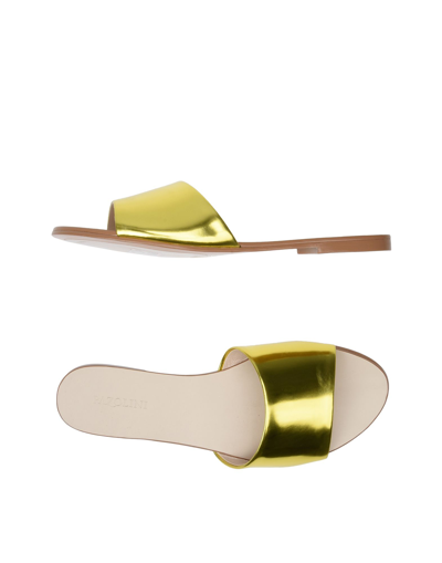 Shop Carlo Pazolini Woman Sandals Gold Size 6 Soft Leather