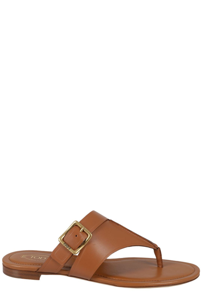 Shop Tod's Side Buckle Thong Sandals In Brown