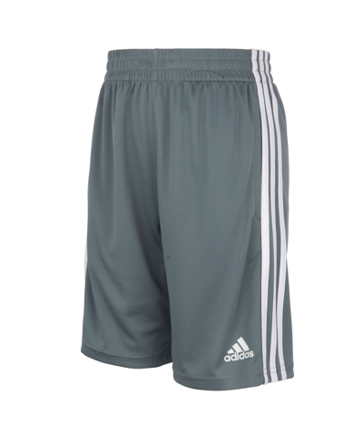 Shop Adidas Originals Big Boys Plus Size Classic 3-stripes Shorts In Dark Gray