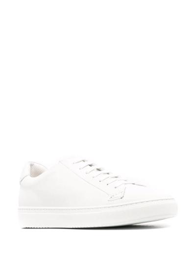 Shop Doucal's Glattleder Low-top Sneakers In White
